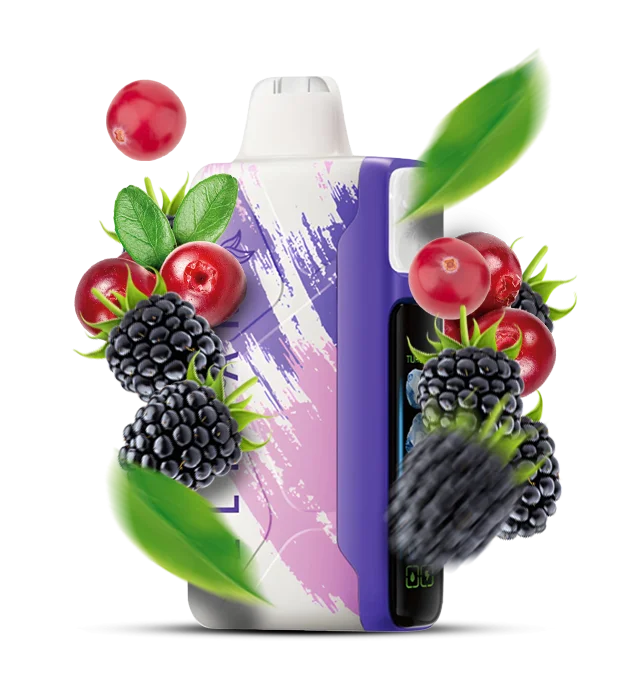 ElfBar_IceKing30000_BlackberryCranberry